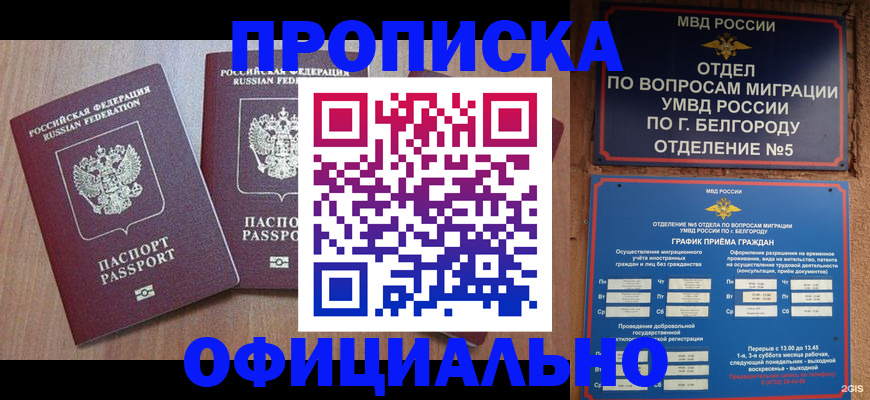 найти адрес прописки в Алексеевке