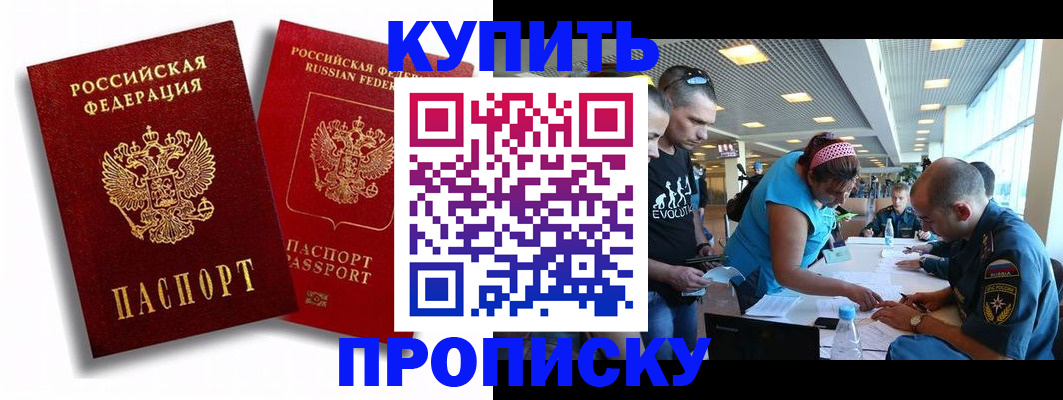 прописка паспорт в Алексеевке